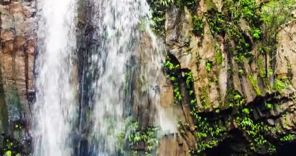 Flygfoto av tropisk djungel vattenfall — Stockvideo