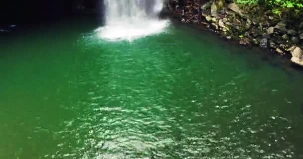 Aerial View of Tropical Jungle Waterfall — Stock Video