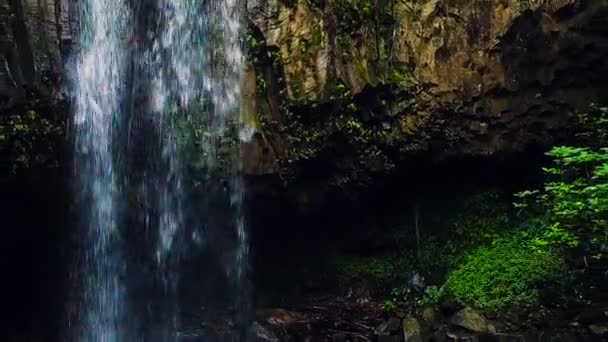 Luchtfoto van de tropische Jungle waterval — Stockvideo