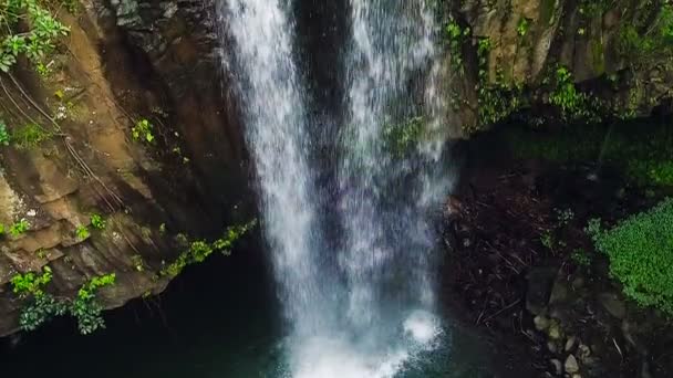 Aerial View of Tropical Jungle Waterfall — Stock Video