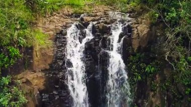 Tropikal orman şelale havadan görünümü