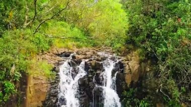 Tropikal orman şelale havadan görünümü