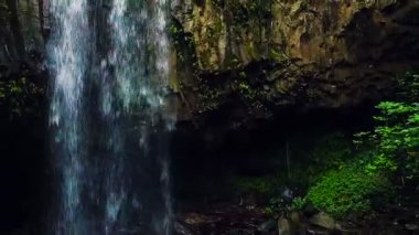 Tropikal orman şelale havadan görünümü