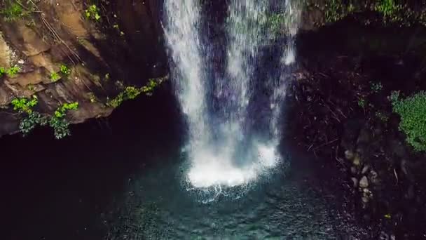Aerial View of Tropical Jungle Waterfall — Stock Video