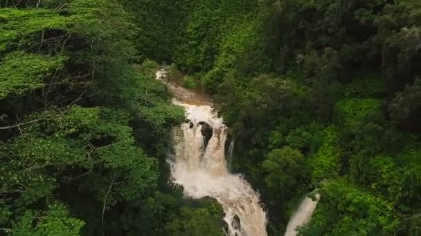 熱帯ジャングルの中で驚くべき強力な滝。空中露出ショット — ストック動画