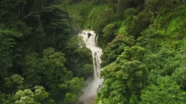 Fantastiska mäktiga vattenfall i tropisk djungel. Slow Motion Flygfoto — Stockvideo