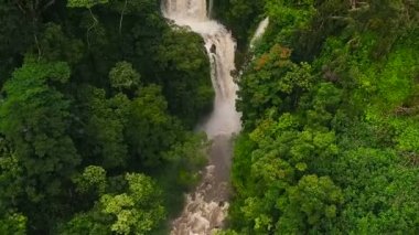 İnanılmaz güçlü şelale tropikal orman içinde. Ağır çekim havadan görünümü