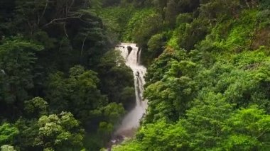 Tropikal ormanda inanılmaz güçlü şelale havadan görünümü.