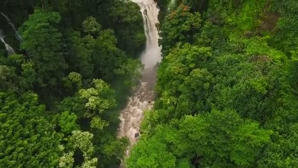 Luftaufnahme eines erstaunlichen mächtigen Wasserfalls im tropischen Dschungel. — Stockvideo