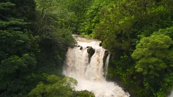 Letecký pohled na úžasnou mohutný vodopád v tropické džungli. — Stock video