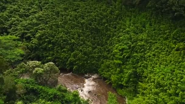 Flygfoto över fantastiska mäktiga vattenfall i tropisk djungel. — Stockvideo
