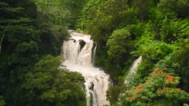 Flygfoto över fantastiska mäktiga vattenfall i tropisk djungel. — Stockvideo