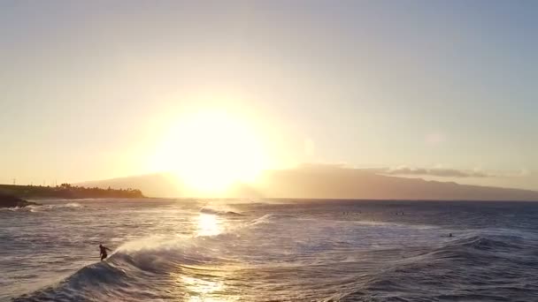 Vlucht boven surfers surfen op de oceaan golven bij zonsondergang. Geweldige zonsondergang antenne uitzicht op de Oceaan — Stockvideo