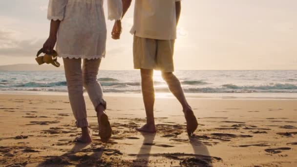 Sunset Walk on a Tropical Beach (en inglés). Pareja mayor sostiene las manos y camina por la playa al atardecer mojándose los pies — Vídeos de Stock