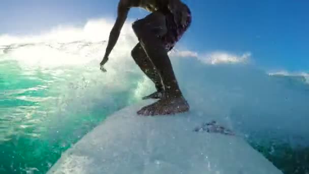 Sörfçü mavi okyanus üzerinde dalga sörf satır aşağı. POV Selfie — Stok video