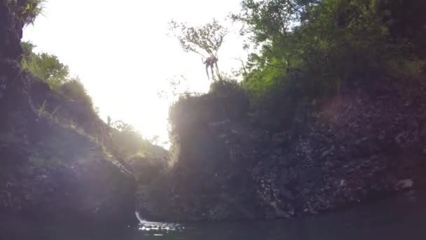 Slow Motion Cliff Jumping. — Stock Video