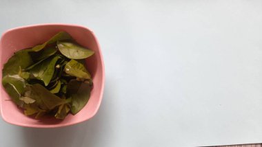 bir bitkinin yeşil yaprakları