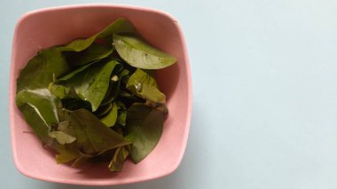 yeşil yapraklar, bitkiler ve yapraklar