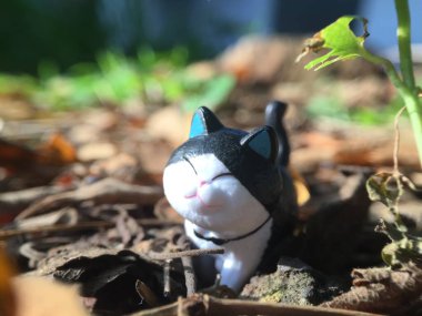 otların arasında oturan kedi