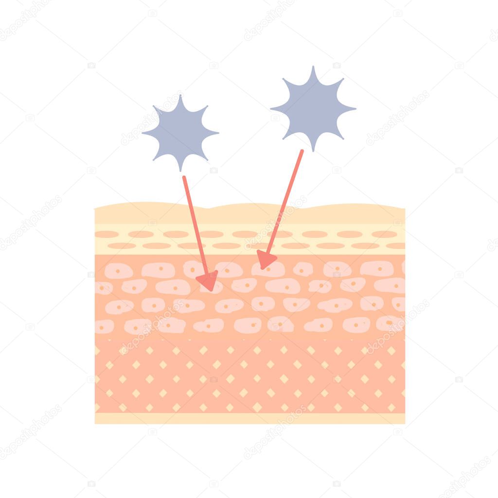 Image of skin with reduced barrier function. On a white background.