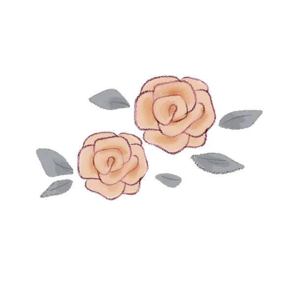 Güller Beyaz Bir Arkaplanda — Stok Vektör