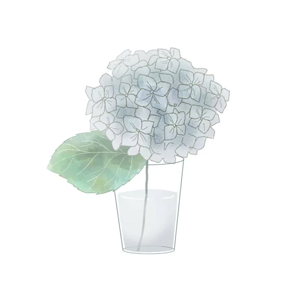 Hortensias Bleus Dans Vase Sur Fond Blanc — Image vectorielle