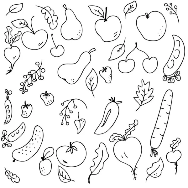 Vector Pattern Cute Ripe Summer Vegetables Fruits Harvest — Stock Vector