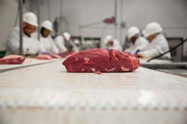 Meat handling safety procedure with workers in white suits helmets and gloves clipart