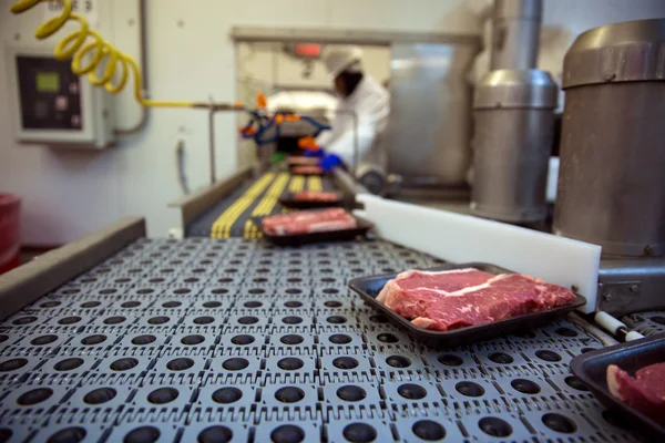 Imballaggio e spedizione di carne a nastro trasportatore presso lo stabilimento di fabbrica — Foto Stock