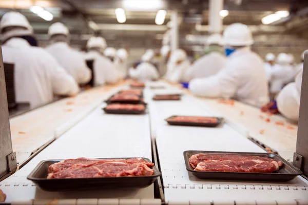 Raw steak beef packaged and shipped with workers — Stock Photo, Image