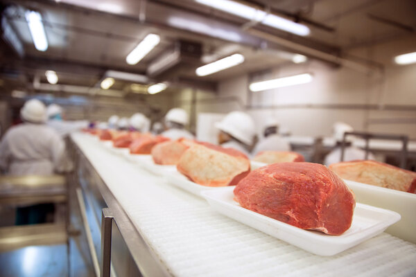 Фабричная линия сырого мяса свинины с рабочими на промышленном заводе
