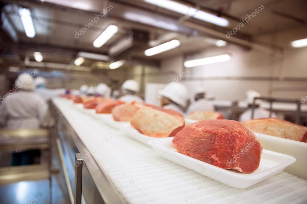 Factory row line of raw pork meat with workers at industrial factory