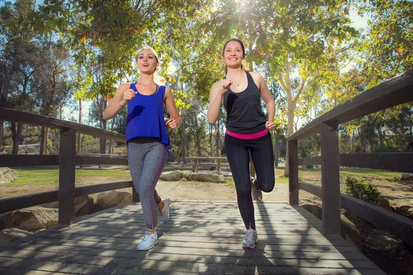 Two female joggers running in nature happy and fit in shape great exercise — Stock fotografie