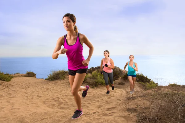 Leider jogger bergop extreme training fitness in vorm gewicht verlies oefening team rij moderne uitgevoerd — Stockfoto