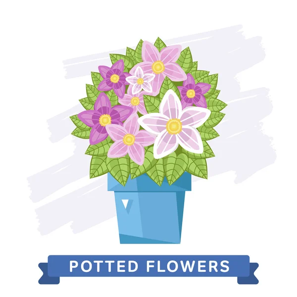 Jarní barevné květiny v květináčích Raster — Stock fotografie