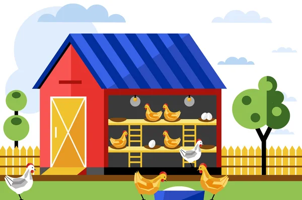 Chicken farm, vector illustration. — Stock Vector