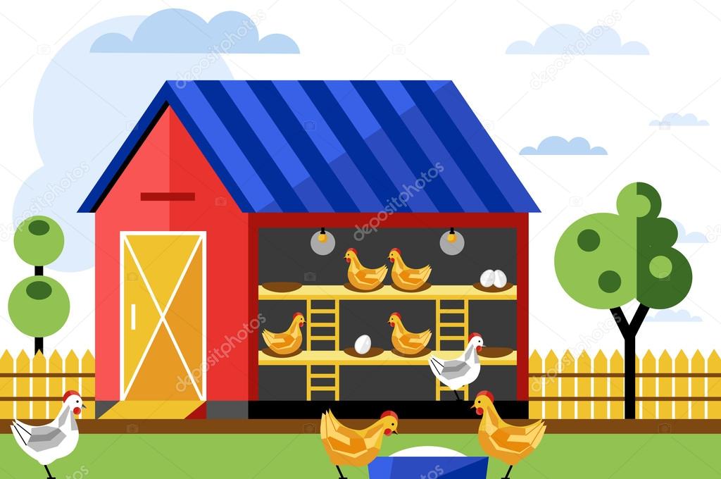 Chicken farm, vector illustration.