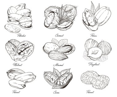 Oyulmuş fındık izole. Karışık Kuruyemiş kümesi.