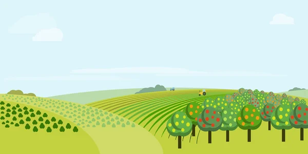 Farm field, raster illustration — Stock Photo, Image