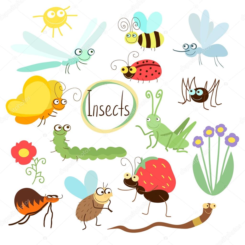Vector insect set in cartoon style