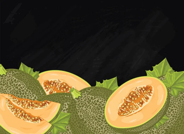Composizione di melone su lavagna, vettore — Vettoriale Stock