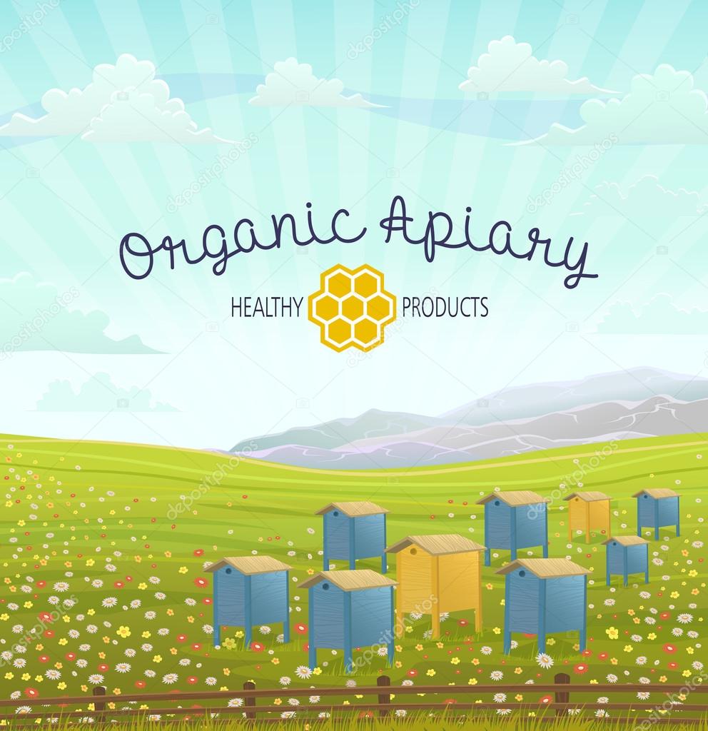 Apiary in alpine meadows mountains. Honey Farm. — Stock Vector ...