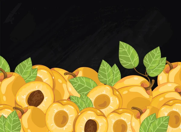 Composición de la fruta de albaricoque en pizarra, trama —  Fotos de Stock
