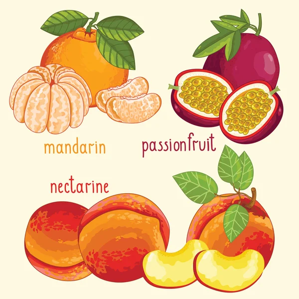 Mistura de frutas frescas isolada, ilustração vetorial — Vetor de Stock