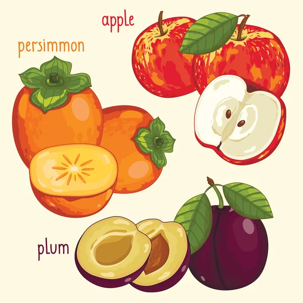 Mezcla de frutas frescas aisladas, ilustración vectorial — Vector de stock