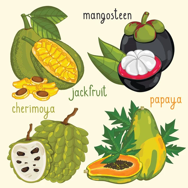 Mezcla de frutas frescas aisladas, ilustración vectorial — Archivo Imágenes Vectoriales