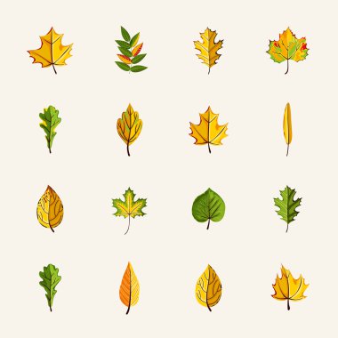 vektör çizim sonbahar yaprakları