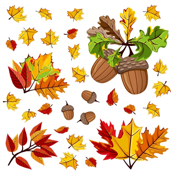 秋天的树叶矢量图 — 图库矢量图片