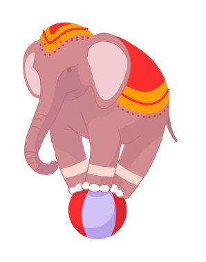 Sirk fili, beyaza izole edilmiş top üzerinde gösteri yapıyor.