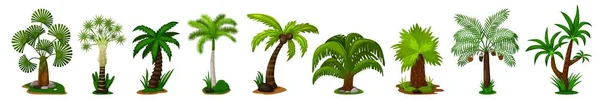 Palm träd ikon set. Isolerat kokospalmträd — Stock vektor